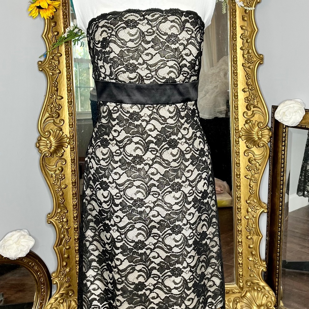 White House Black Market Strapless Black and Cream Lace Cocktail Dress